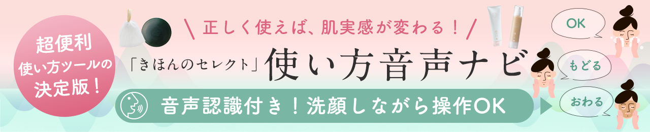 音声ナビ